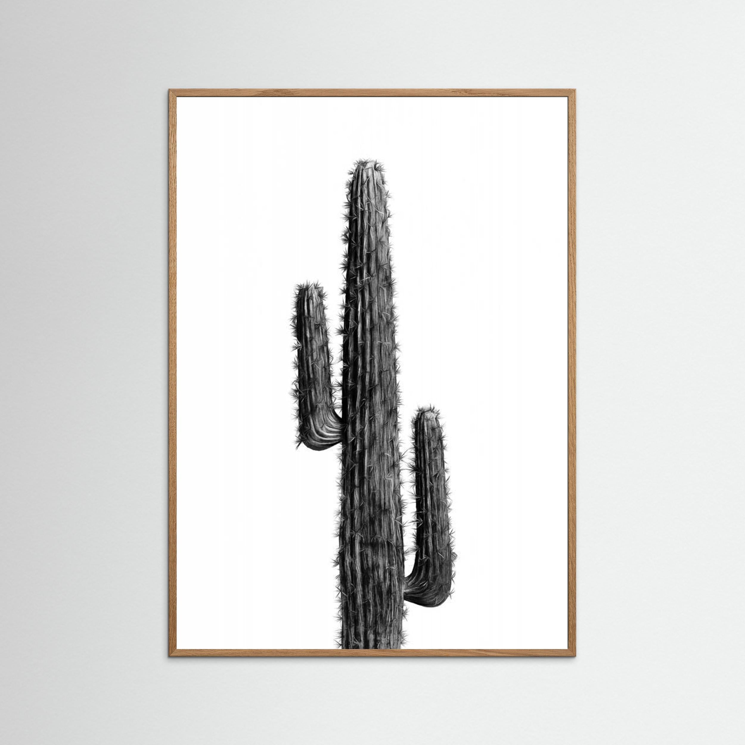 Cactus Black and White 01 by Amini54